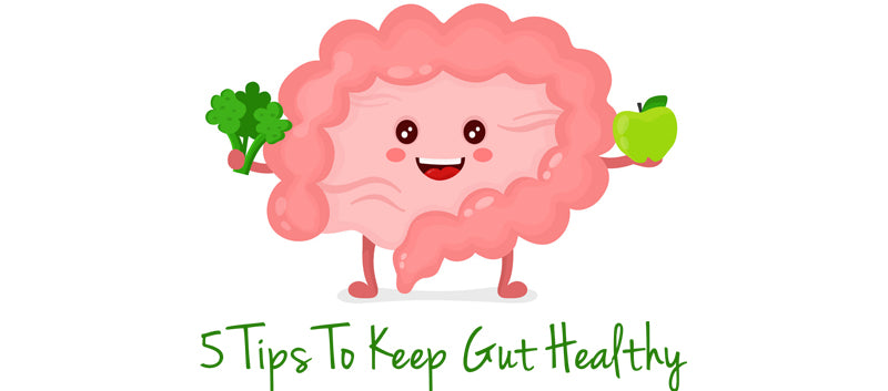 5 TIPS TO KEEP YOUR GUT HEALTHY